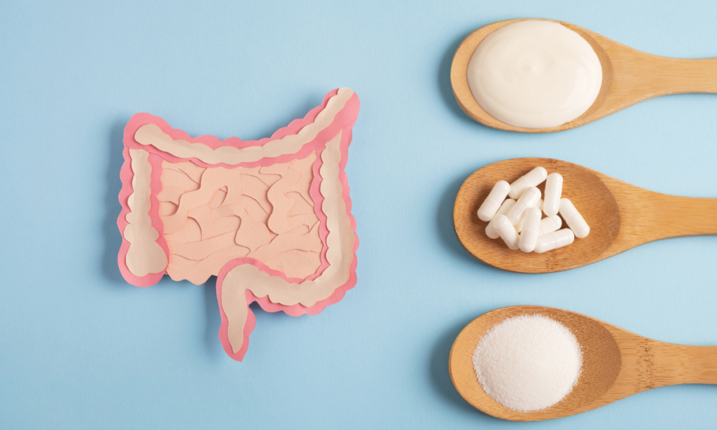 Probióticos: Pequenos Aliados para uma Saúde Gigante!